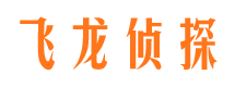 文县侦探公司